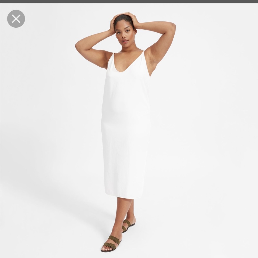 Everlane Japanese go-weave slip dress